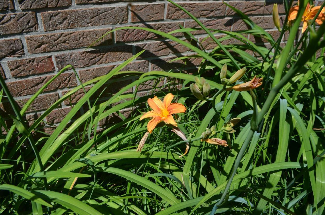 西里格Kutter Im Schiffehaus公寓 外观 照片
